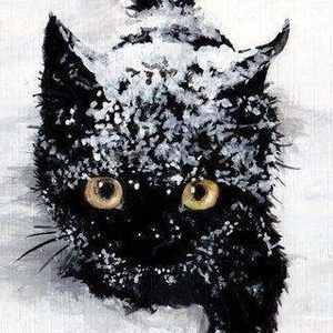 Meet your Posher, Terrie